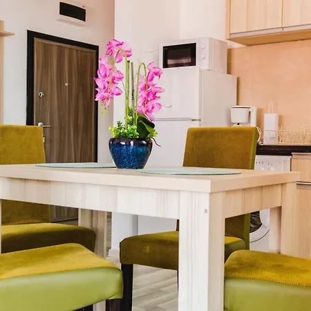 Apartment Orchid Apartment Summerland Free Parking Mamaia